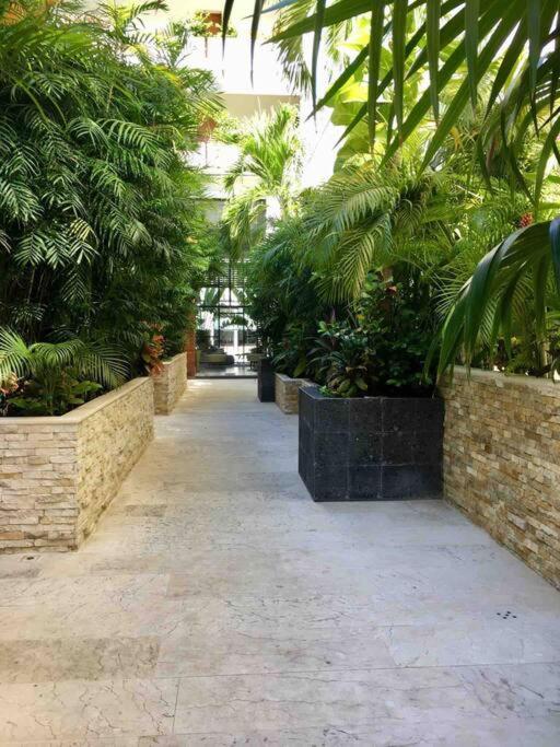 Your Exclusive Studio In The City - Top Amenities & Services For Free!! Playa del Carmen Exterior foto