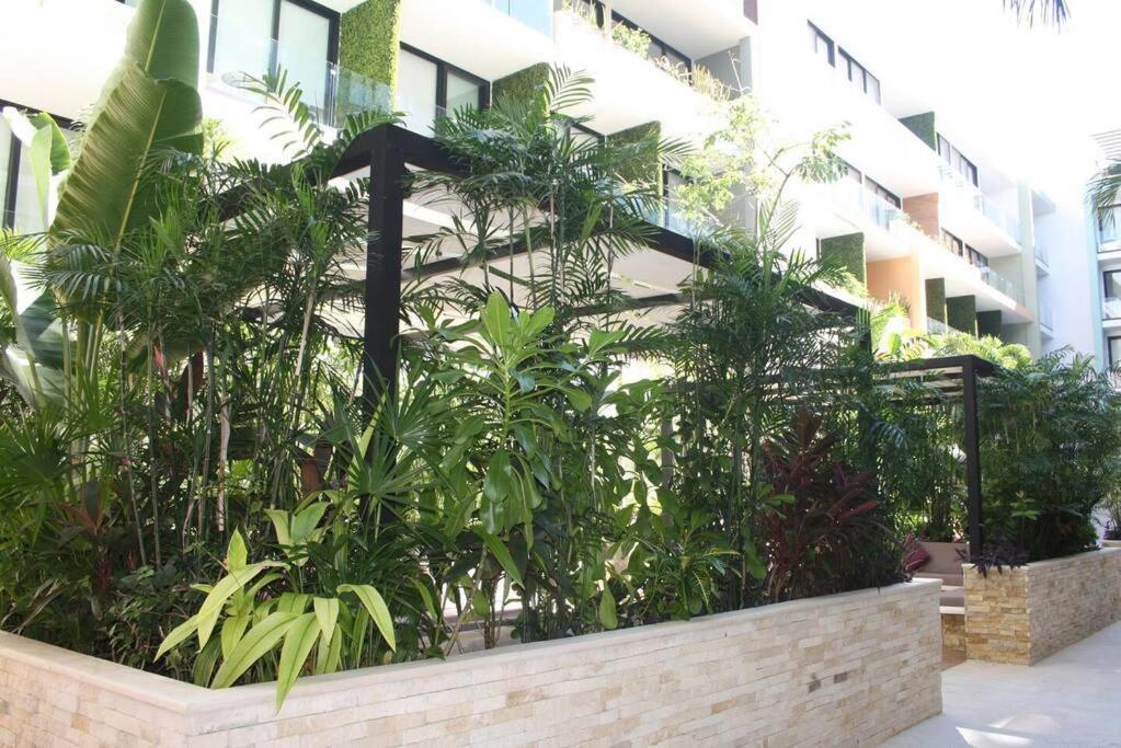 Your Exclusive Studio In The City - Top Amenities & Services For Free!! Playa del Carmen Exterior foto